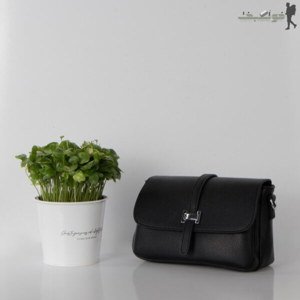 کیف زنانه بولسا سگک پیچکی
