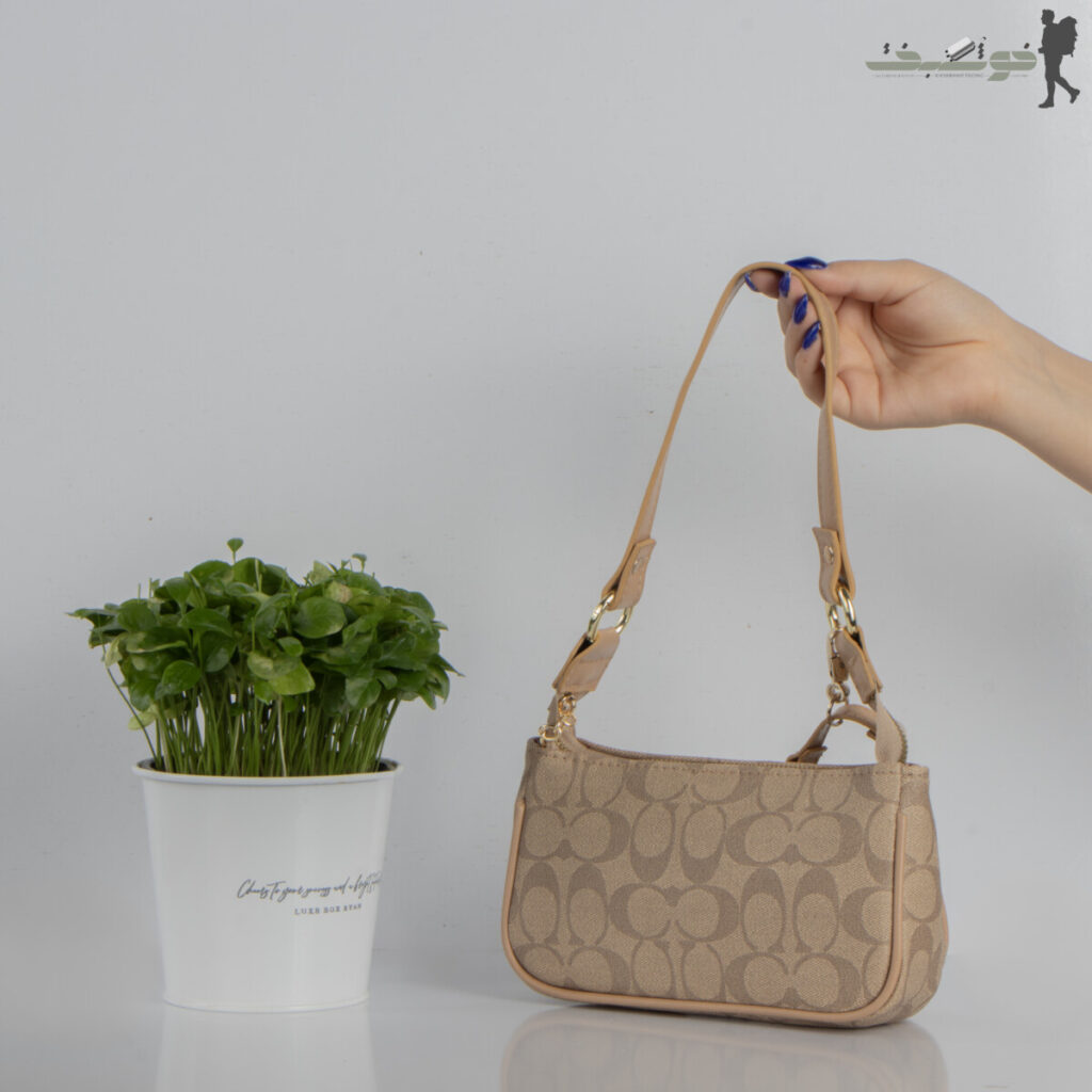 کیف زنانه دوکیف coach