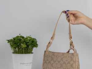 کیف زنانه دوکیف coach