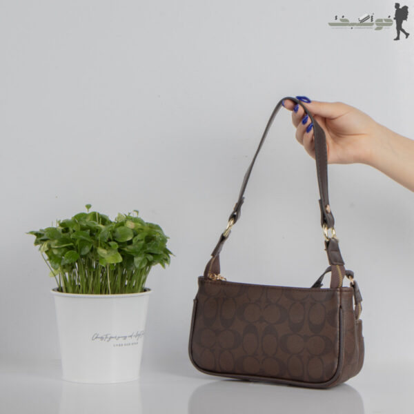 کیف زنانه دوکیف coach
