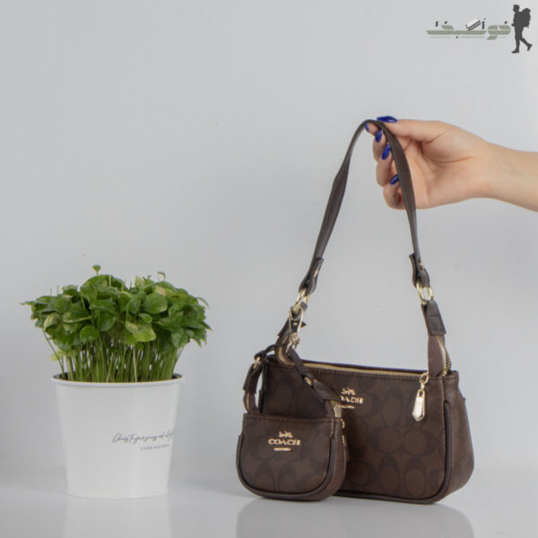 کیف زنانه دوکیف coach