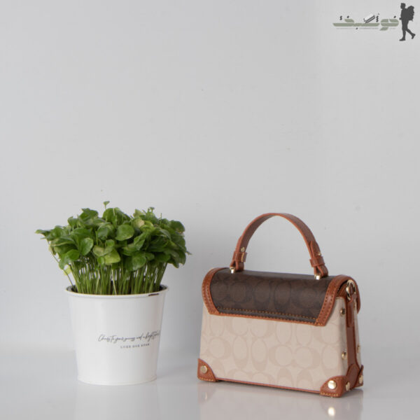 کیف زنانه صندوقی