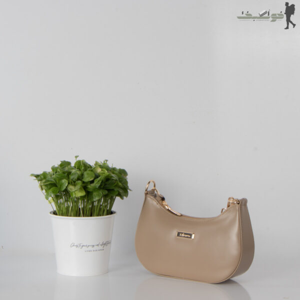 کیف زنانه کشکولی Dior