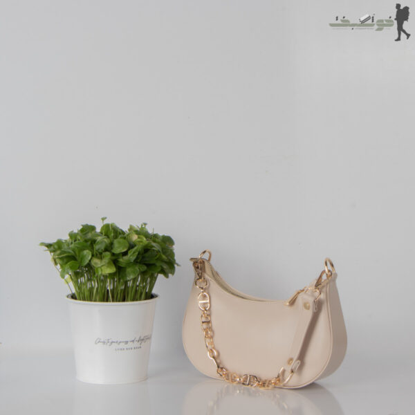کیف زنانه کشکولی Dior
