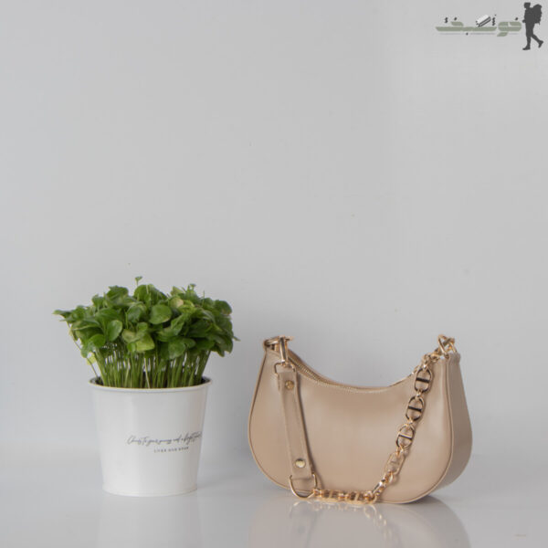 کیف زنانه کشکولی Dior