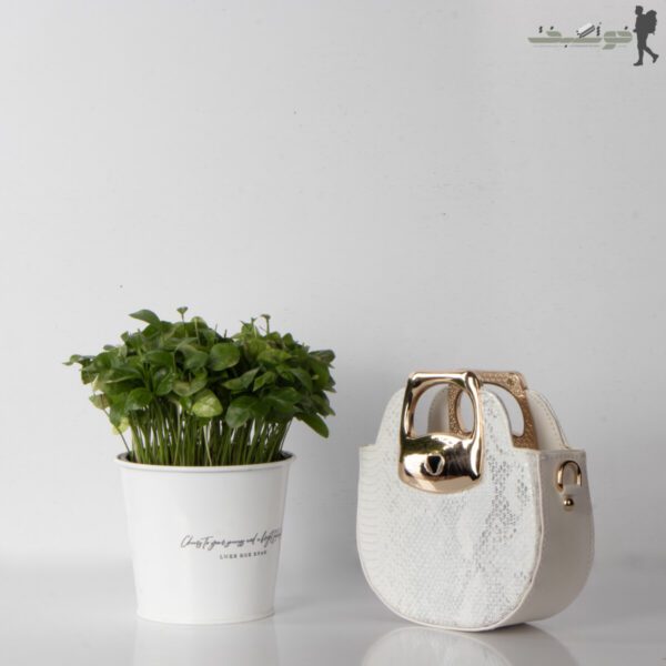 کیف زنانه پوست ماهی کوچک