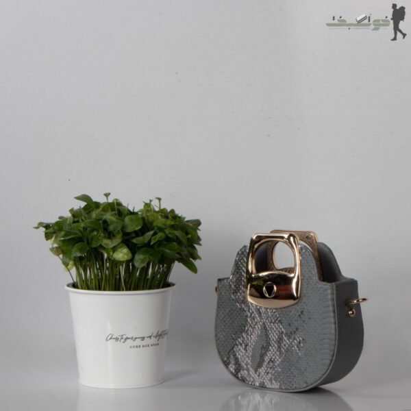 کیف زنانه پوست ماهی کوچک
