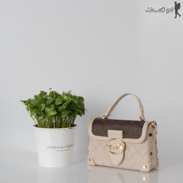 کیف زنانه صندوقی