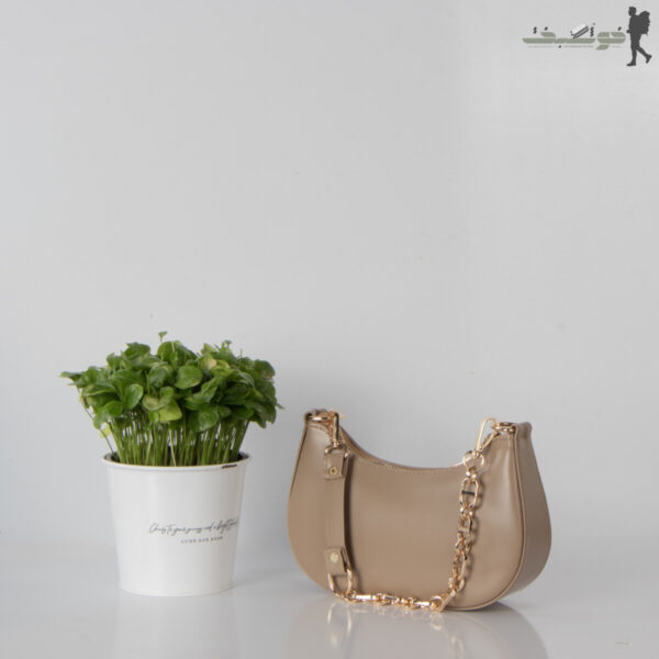 کیف زنانه کشکولی Dior
