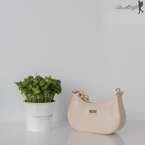کیف زنانه کشکولی Dior