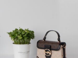 کیف زنانه صندوقی