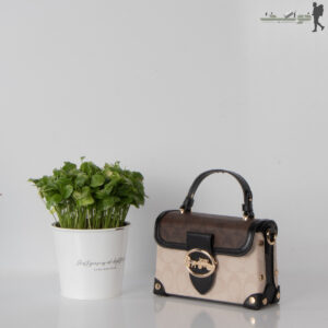 کیف زنانه صندوقی