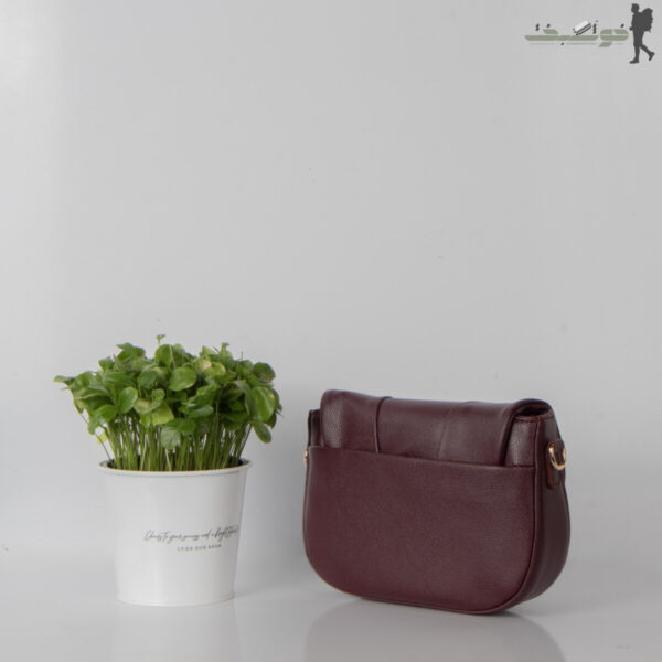 کیف زنانه Dior بالاچین