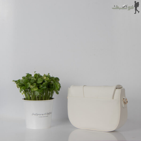 کیف زنانه Dior بالاچین