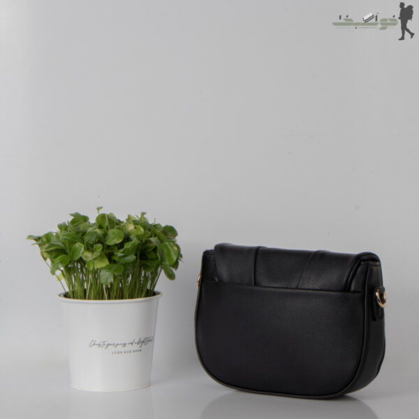 کیف زنانه Dior بالاچین