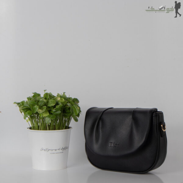 کیف زنانه Dior بالاچین