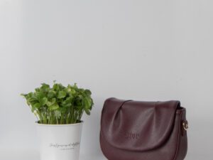 کیف زنانه Dior بالاچین