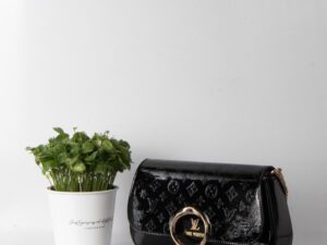 کیف Louis Vuitton