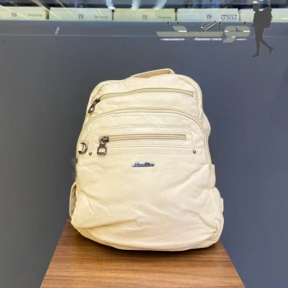 photo_2026-01-29_16-48-13 کیف زنانه ماندیرو کد 1632151