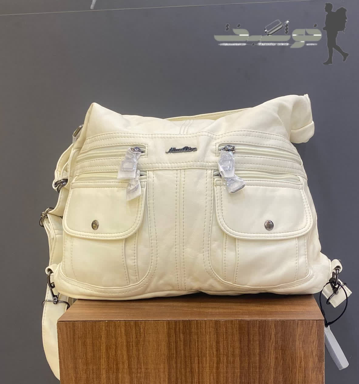 photo_2026-01-31_18-14-11 کیف زنانه ماندیرو mandiro کد 1822262