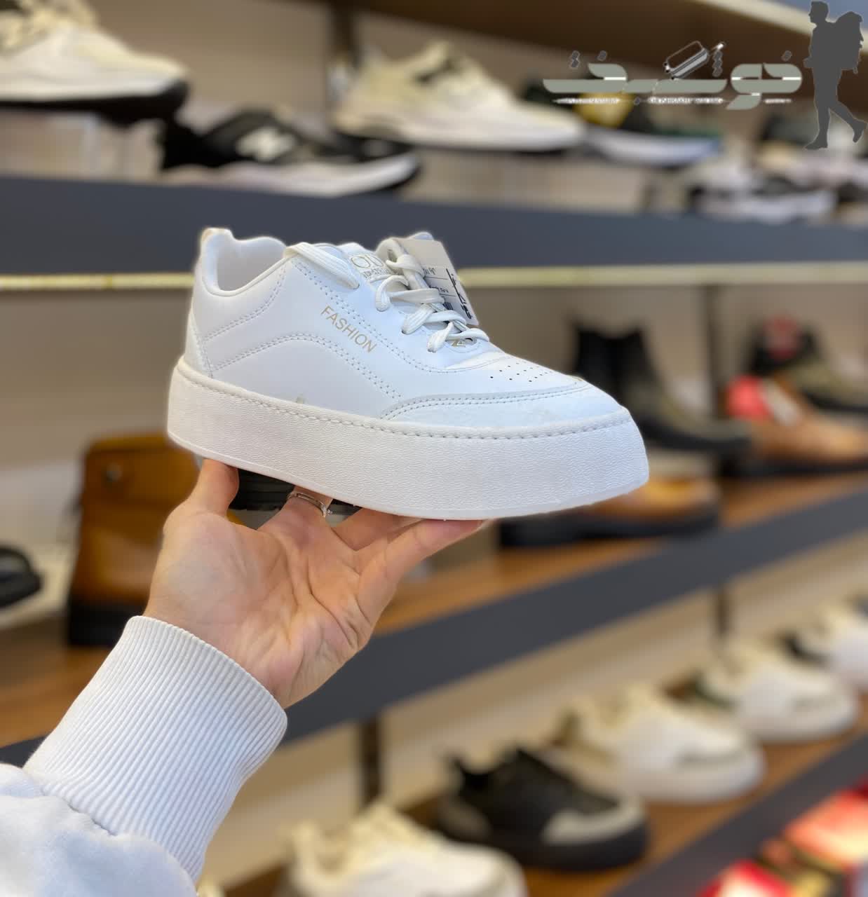 photo_2026-02-15_20-08-46 کتونی زنانه پایار کد 4049