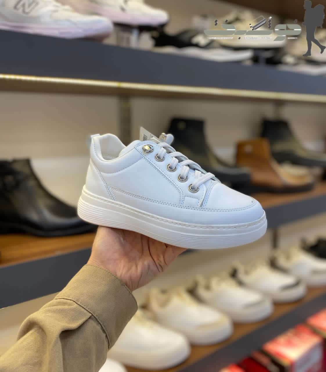 photo_2026-02-16_13-20-45 کتونی زنانه صوفیا کد 4031