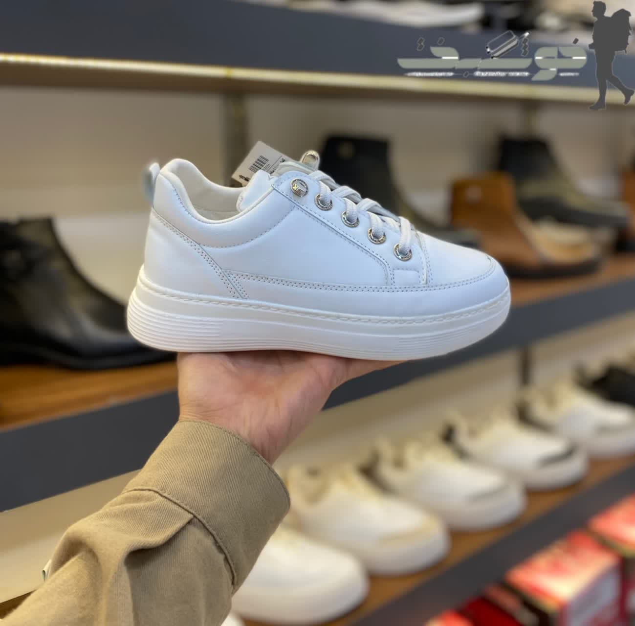 photo_2026-02-16_13-20-49 کتونی زنانه صوفیا کد 4031